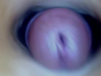 paulainoscente webcam model stream image