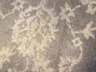 swagr757 webcam model stream image