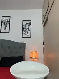 Maximiliano_ford webcam model stream image