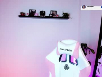 kali_ka webcam model stream image