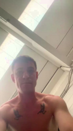 Vipaip webcam model stream image