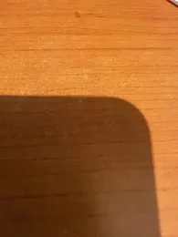 Blasian_Sex98 webcam model stream image