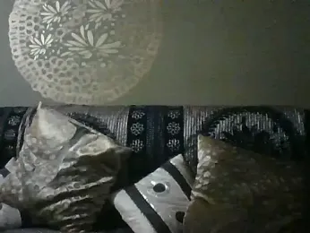 peanutbutteater webcam model stream image