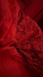 Denyma webcam model stream image