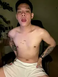 latava webcam model stream image