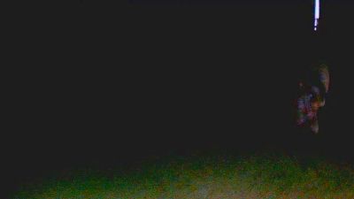 praia_grande webcam model stream image