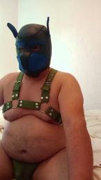 soloyo851 webcam cam4 model stream image
