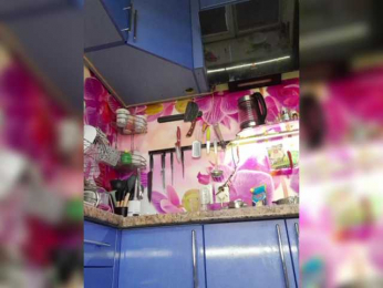 MS-86 webcam model stream image