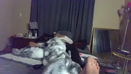 bigdaddyrooster webcam stripchat model stream image