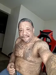 yellowwetfox webcam model stream image