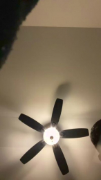 Deibif webcam model stream image