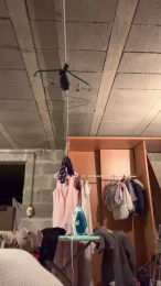 Athenais_Olympe webcam model stream image