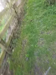 nataliecdlive webcam model stream image