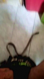 Ercoatto83 webcam model stream image