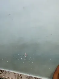 Sania-Love webcam model stream image