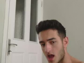 s2ici webcam model stream image