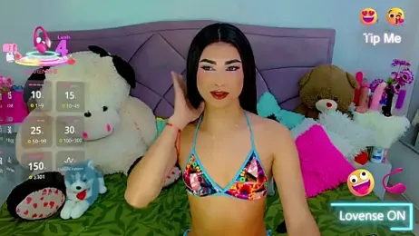 party_duo_trans webcam model stream image