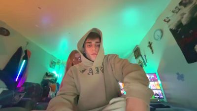 adickshot webcam model stream image