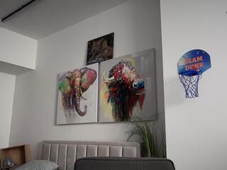 Jett Carter webcam model stream image