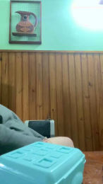 Paosol1 webcam model stream image