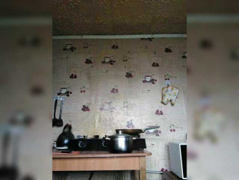 Zarevna webcam model stream image