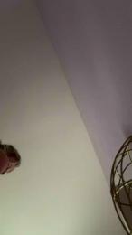 laetysia88 webcam cam4 model stream image