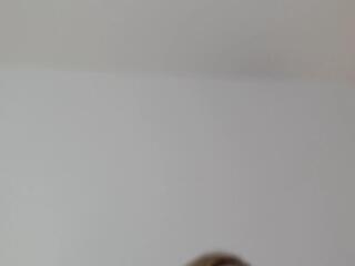 Hailey Daniels webcam model stream image