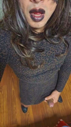 Pascaltrans webcam model stream image