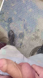 Alentejanot webcam model stream image