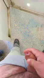 Alentejanot webcam model stream image