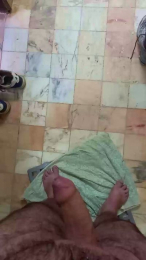 Alentejanot webcam model stream image