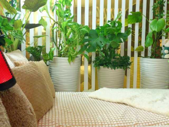 -Violettttta- webcam model stream image