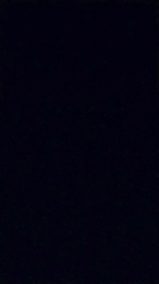 rickyricardo204 webcam cam4 model stream image