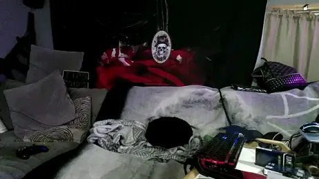 Splash_Queen420 webcam model stream image