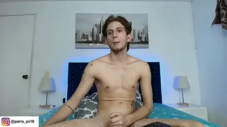 Deim_ webcam model stream image