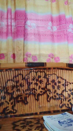 WildLady webcam model stream image