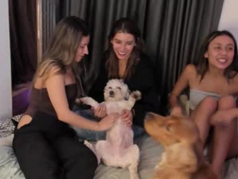 couple_funnyy webcam model stream image