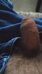 Pollonazo webcam model stream image