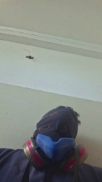 Eliasfabianc webcam model stream image