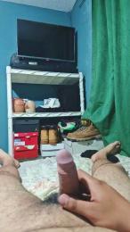 Chinocor2 webcam model stream image