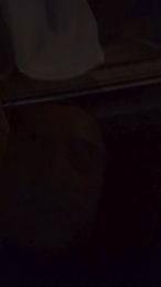 Nicolahase webcam model stream image