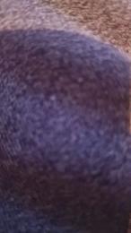 Morboxxxxx webcam model stream image