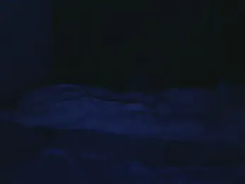 LionEdwin webcam model stream image