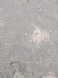 Превью melodyk