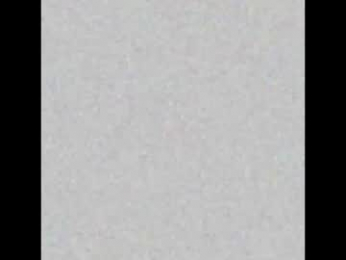 yellowsnakes webcam model stream image