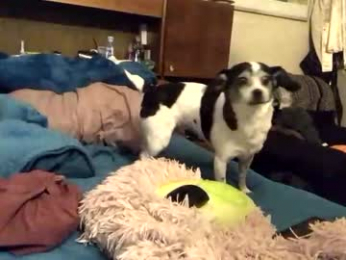 james2002og webcam model stream image