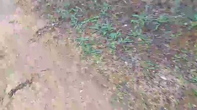 Arturito webcam model stream image