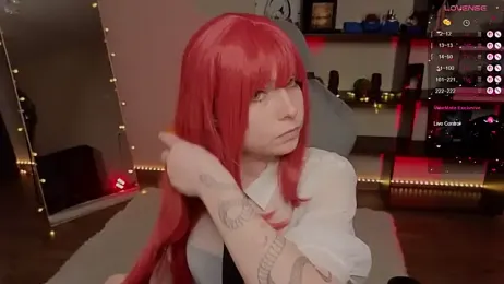 zelda_1 webcam model stream image