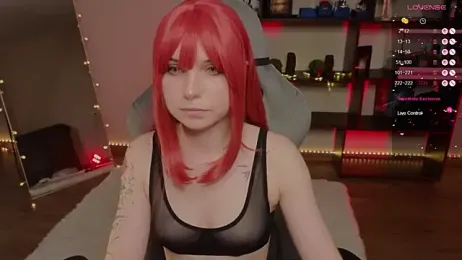 zelda_1 webcam model stream image