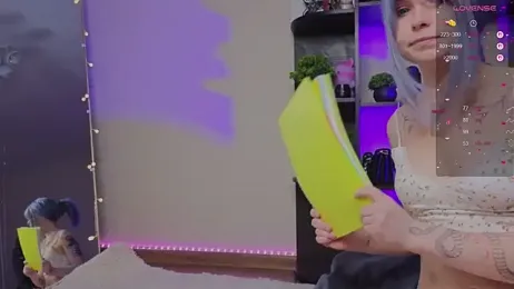 zelda_1 webcam model stream image